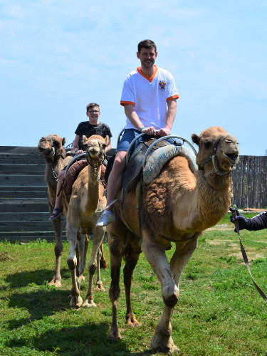 camel-ride