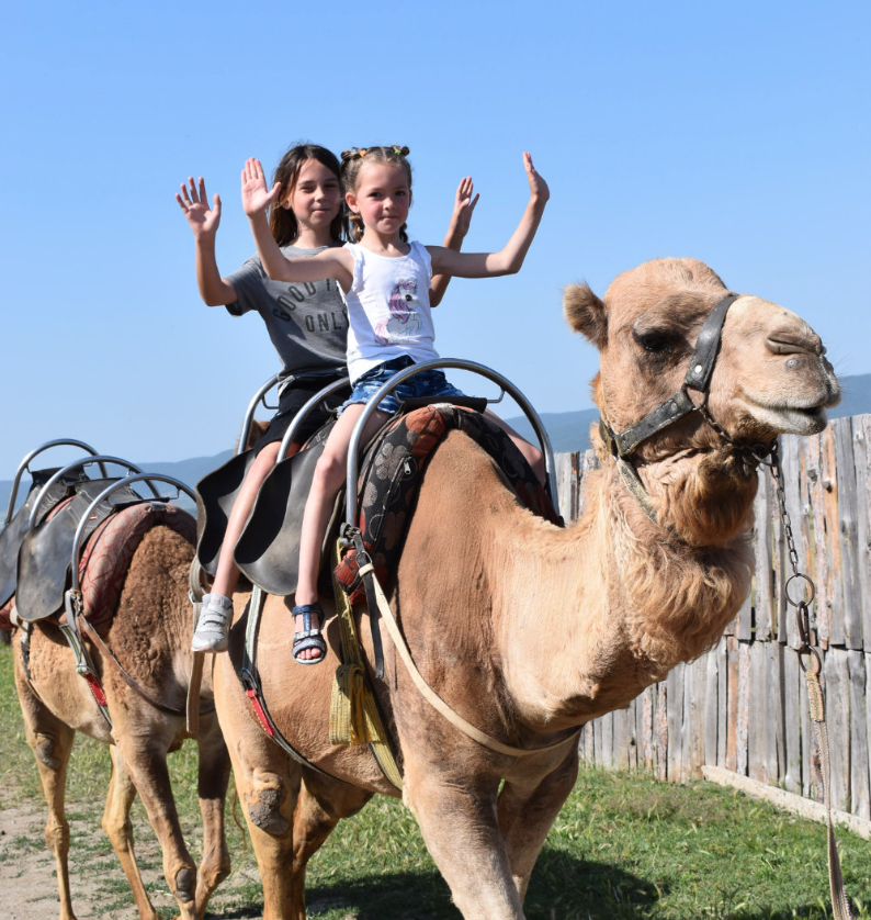 Kids Camel Ride